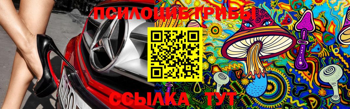 Ялуторовск  Галлюциногенные грибы MAGIC MUSHROOMS  наркотики  Вход с VPN 